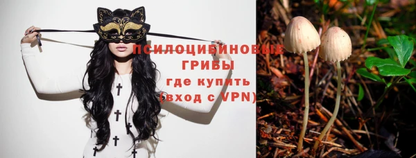 крисы Верея