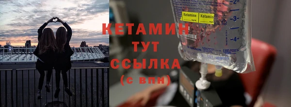 крисы Верея