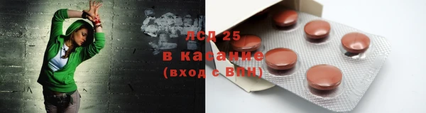 крисы Верея