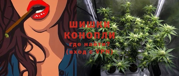 мдпв Верхний Тагил