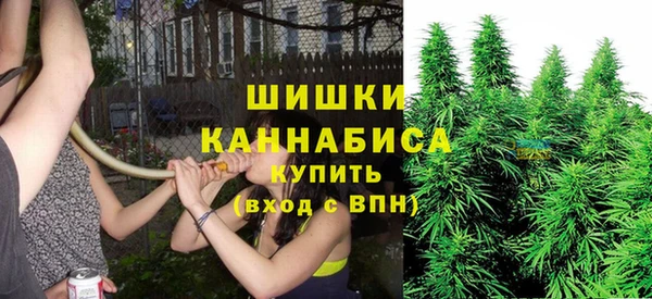 крисы Верея