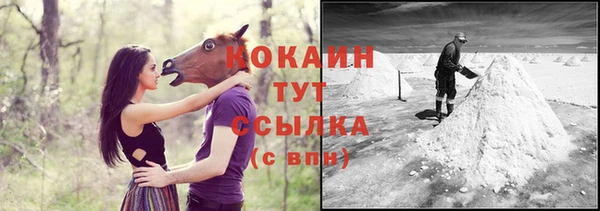 мдпв Верхний Тагил