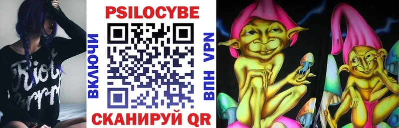 где можно купить   Орехово-Зуево  Галлюциногенные грибы Cubensis 