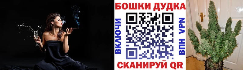 МАРИХУАНА сатива KRAKEN Орехово-Зуево купить цена